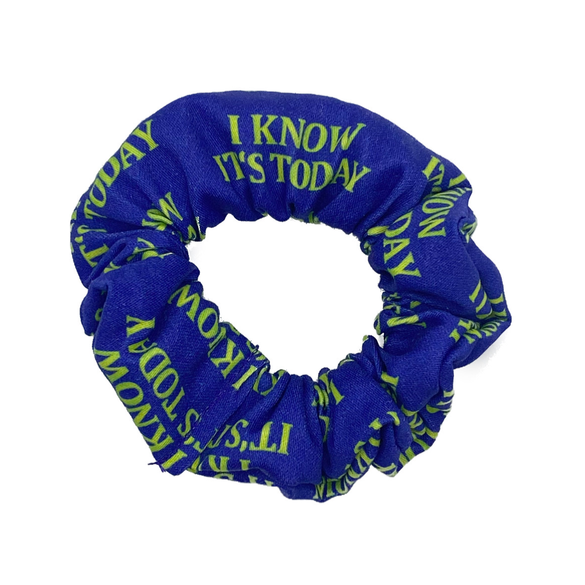 I Know It's Today Scrunchie - Inspired by Shrek - The Musical